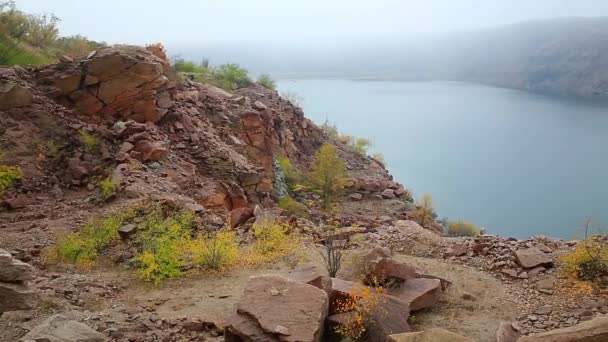 Tree on granite deposits — Stock Video