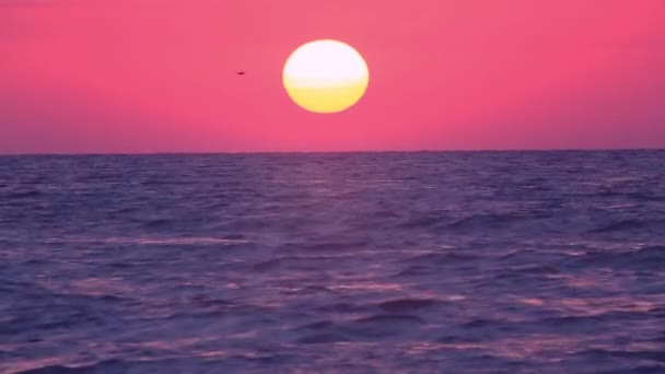 Sorgere del sole sul mare — Video Stock