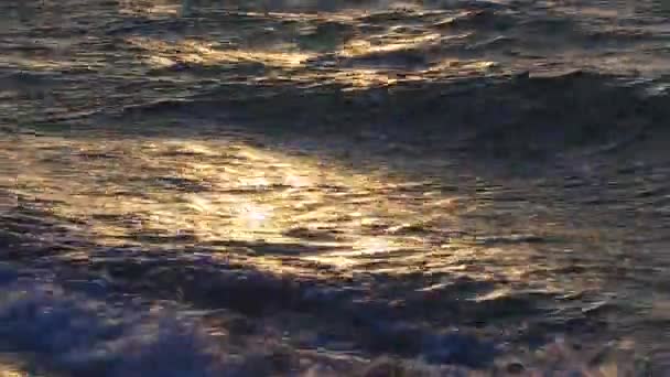 Vakre havbølger – stockvideo