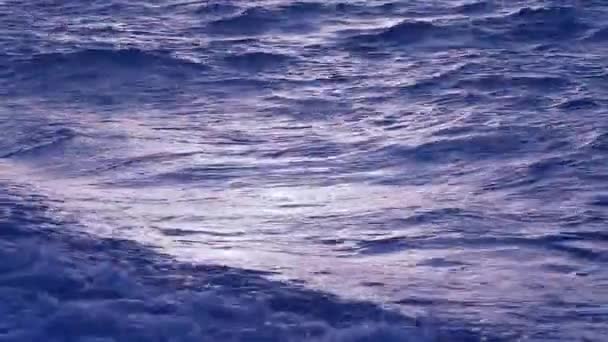 Ombak laut yang indah — Stok Video