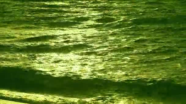 Havet med vågor i solnedgången — Stockvideo