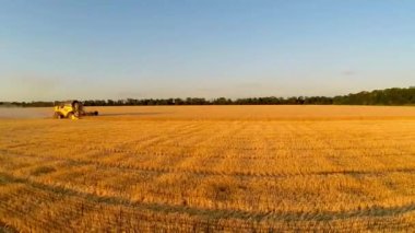 buğday hasat birleştirmek