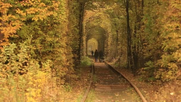 Mensen lopen in liefde tunnel in Klevan — Stockvideo