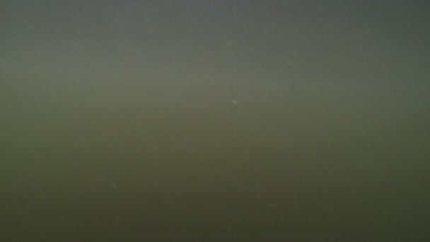 Kamera kommer opp fra sjøen – stockvideo