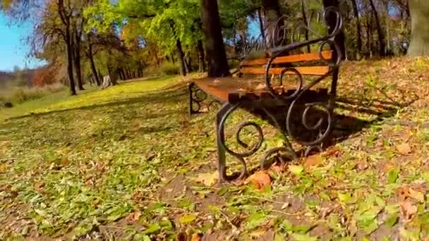 Panchina nel parco autunnale — Video Stock