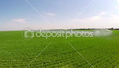 Sulama sistemi endüstriyel çiftlikte