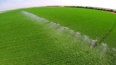 Sulama sistemi endüstriyel çiftlikte