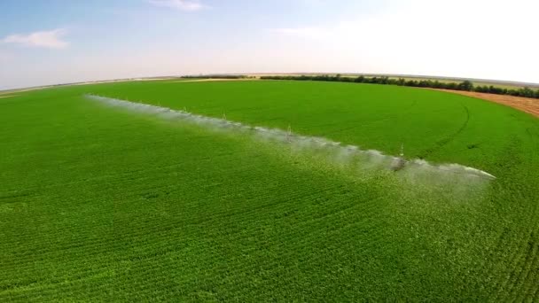 Irrigatiesysteem op industriële boerderij — Stockvideo