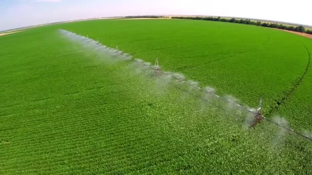 Sistema de irrigação na exploração industrial — Vídeo de Stock