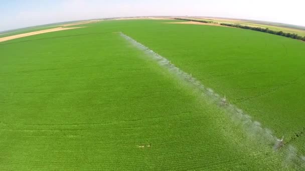 Bewässerungssystem in der industriellen Landwirtschaft — Stockvideo