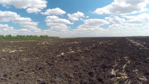 Landscape with plowed field — Stock Video