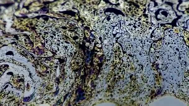 Текстура мыльного пузыря — стоковое видео