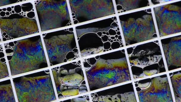 Textura de burbuja de jabón — Vídeos de Stock