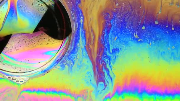 Colorful soap bubble — Stock Video