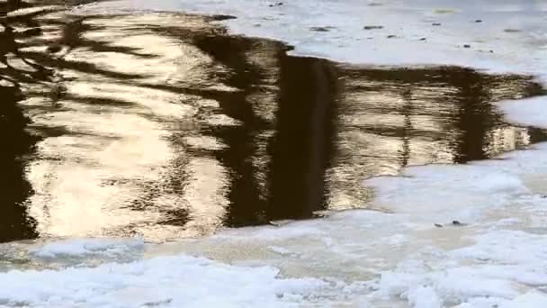 Льодяник крупним планом падає — стокове відео