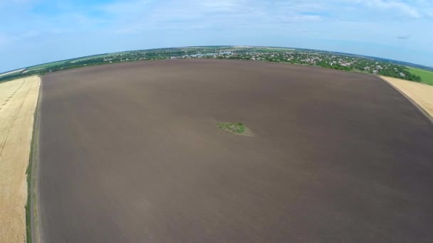 Panorama del campo di grano — Video Stock