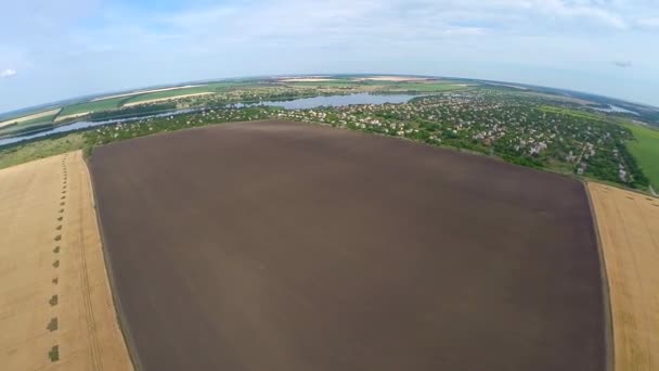 Panorama van tarweveld — Stockvideo