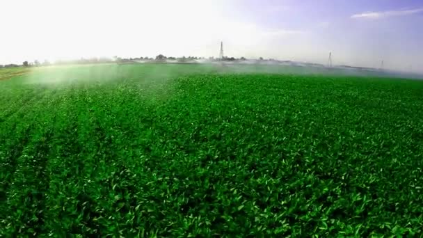 工业农场灌溉系统 — 图库视频影像