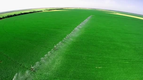 Système d'irrigation à la ferme industrielle — Video