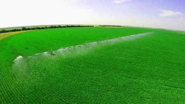 Sistema de irrigação na exploração industrial — Vídeo de Stock