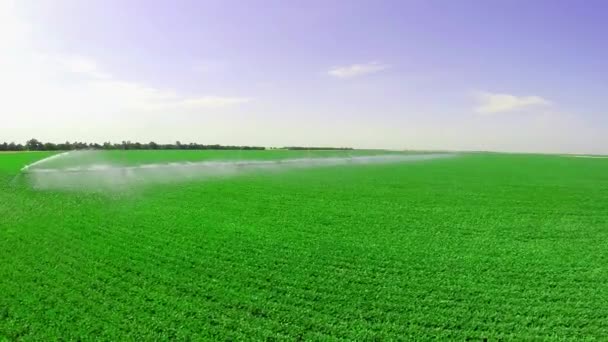 Système d'irrigation à la ferme industrielle — Video