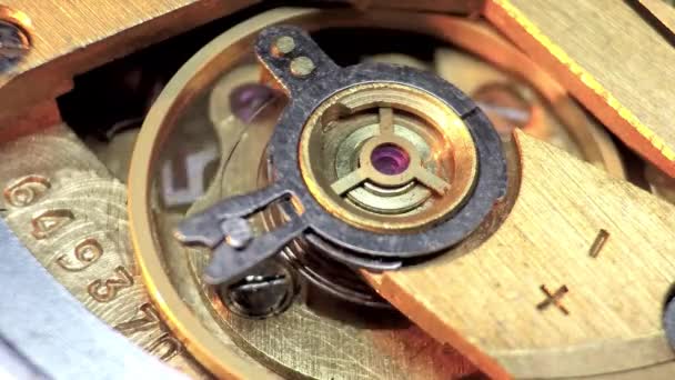 Maquinaria de reloj Vintage macro detalle — Vídeo de stock