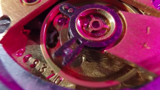 Vintage watch machinery macro detail — Stock Video