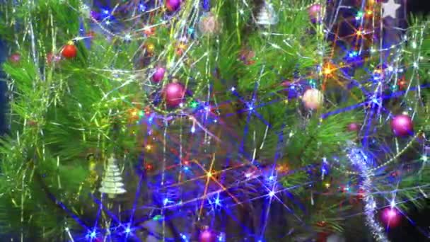 Veselé vánoční strom — Stock video