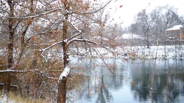 Vallende sneeuw aan de rivier — Stockvideo