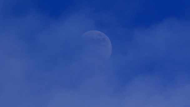 Mond und Wolken am blauen Himmel — Stockvideo