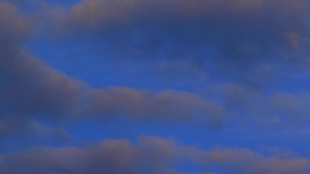 Céu nublado e topo de árvores — Vídeo de Stock