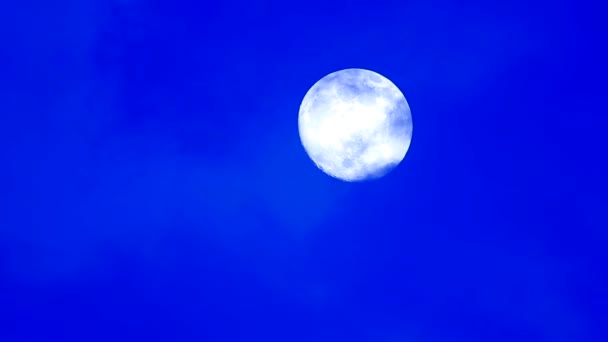 Повний місяць у небі — стокове відео