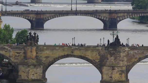 Pontes de Praga sobre o rio Vitava — Vídeo de Stock