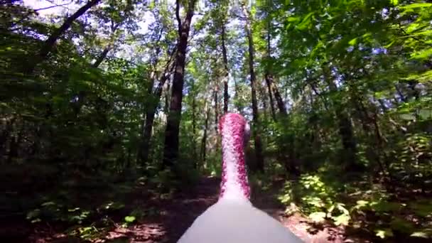 Індичка-півень збирається на дереві — стокове відео