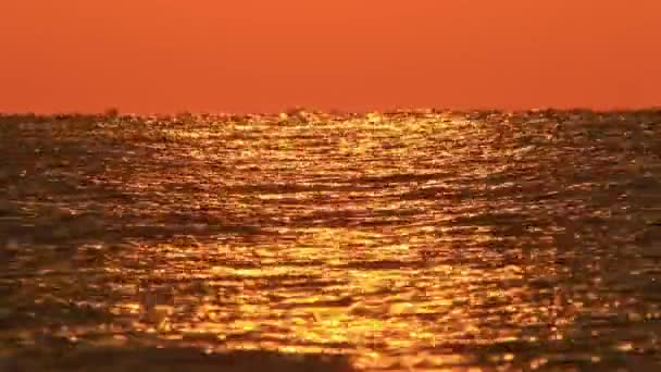Утреннее солнце над морем — стоковое видео