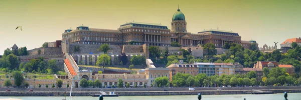 Budapest kongelige palass – stockfoto