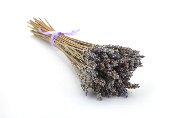 Dry flowers of a lavender — Stock Photo, Image