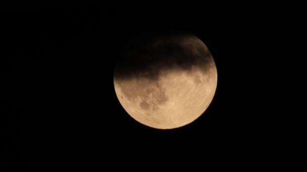 Luna llena detrás de las nubes por la noche — Vídeo de stock