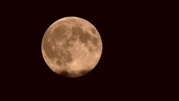 Volle maan achter wolken 's nachts — Stockvideo