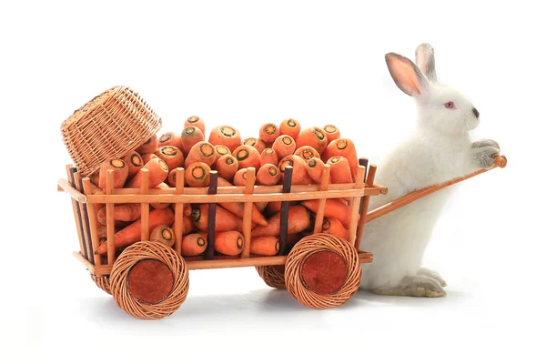 Biały królik z marchewką na taczki — Zdjęcie stockowe