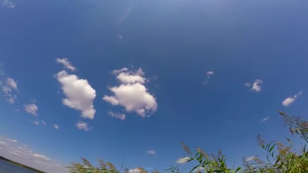 Himmel mit der Sonne — Stockvideo