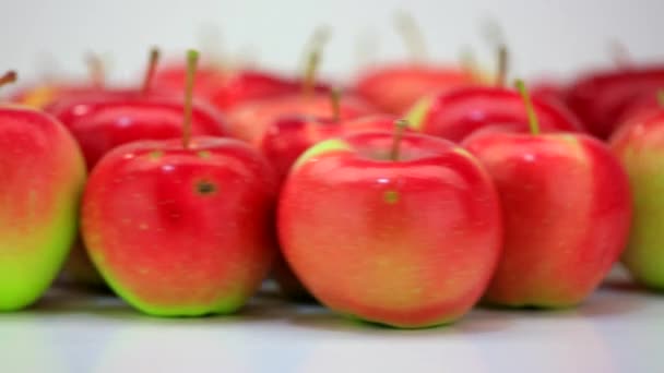 Mogna färska äpplen — Stockvideo