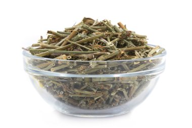 Hindiba (Cichorium intybus)