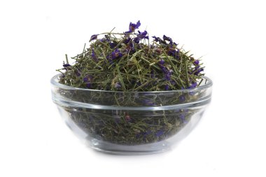 Kuru consolida regalis (Consolida regalis)