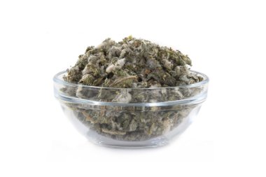 büyük sığırkuyruğu - verbascum thapsus
