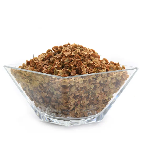 Dry sorrel in glassware — Stock Photo, Image
