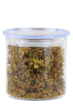 Mürver (sambucus) Züccaciye Mağazaları