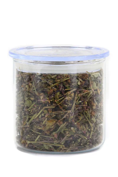 Ortak adaçayı (Salvia officinalis) Züccaciye Mağazaları