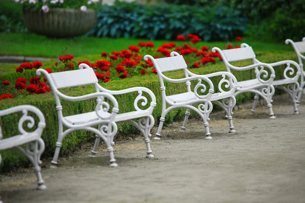花バラに対して白いベンチ — ストック写真