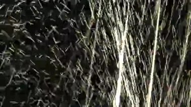 ışık karşısında su düştü